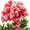 Kwiaty sztuczne w doniczce bukiet kwiat sztuczny Duży